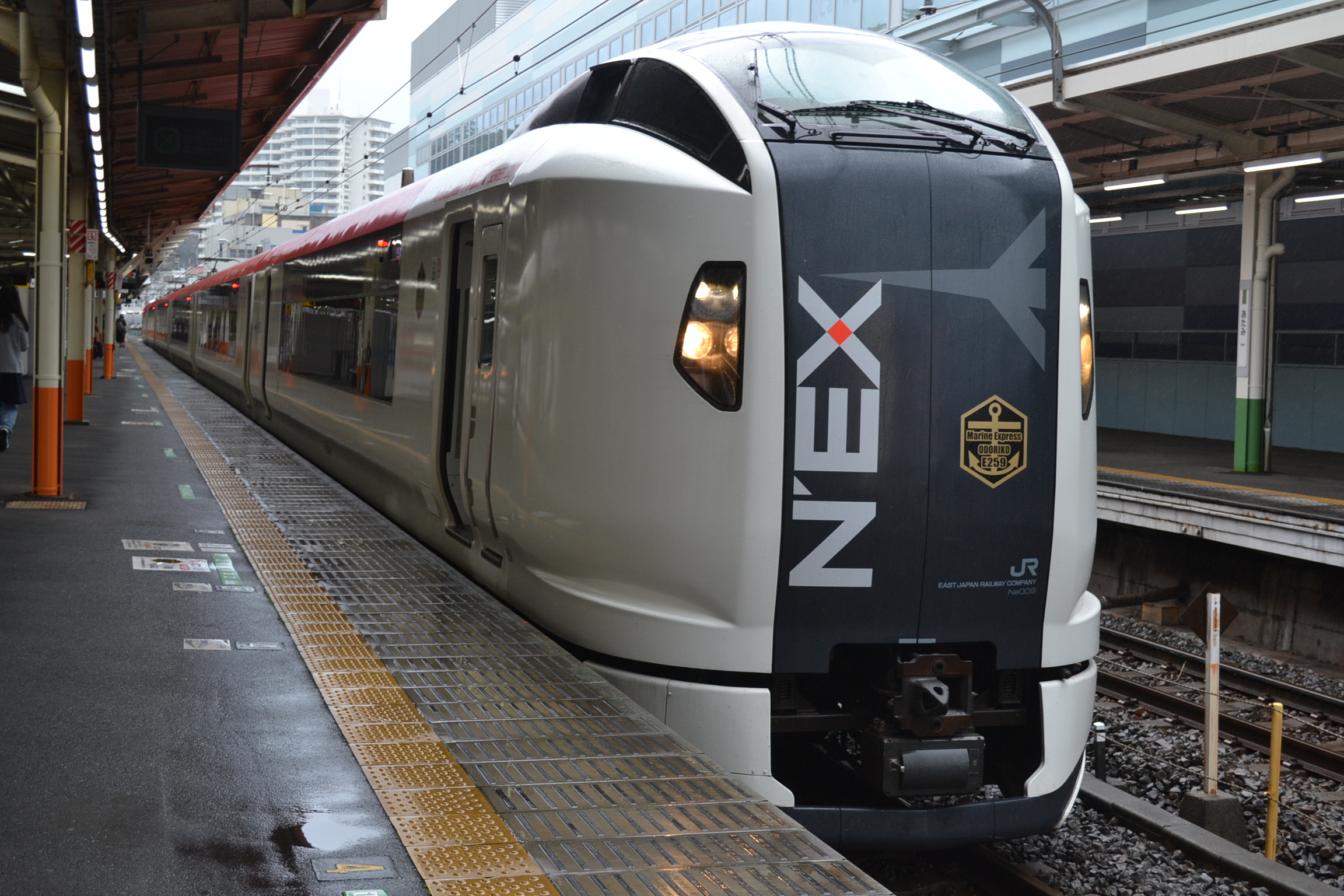 意外とお得?臨時特急マリンエクスプレス踊り子号の魅力を語る