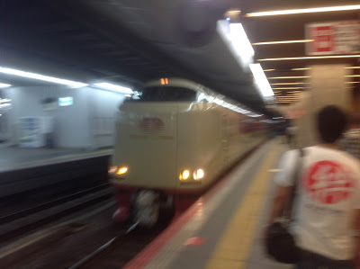 サンライズ出雲・シングル乗車期（大阪→東京）　短時間の移動でもしっかり横になれる広いシングルはハズレなし！
