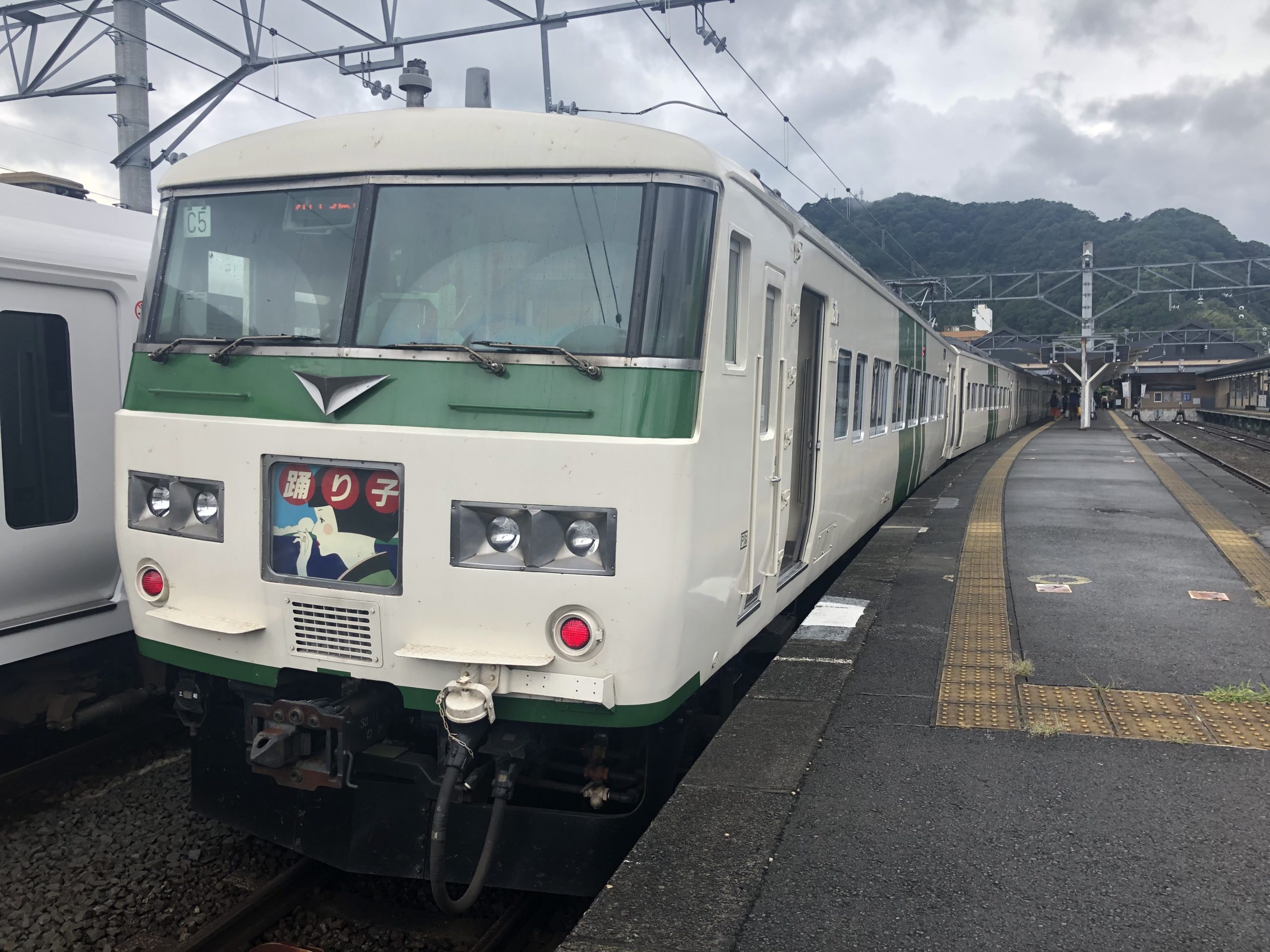 【実質快速】特急踊り子で、三島~修善寺間を特急料金なしで移動する